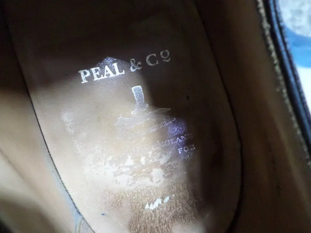 thumbnail-7